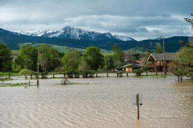 Yellowstone Flooding