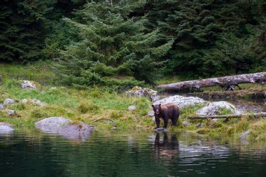Tongass National Forest